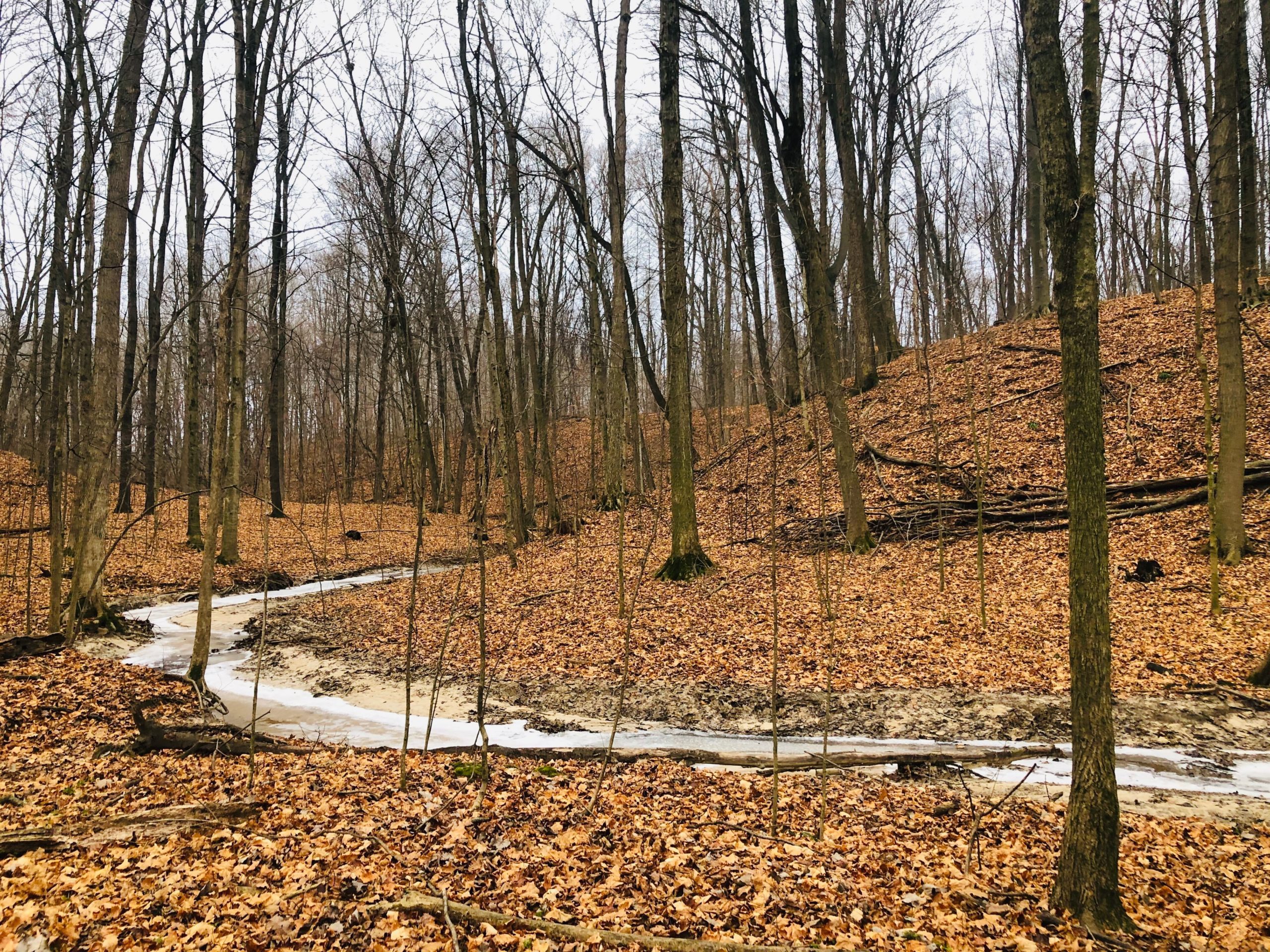 Jamestown Trail Michigan’s Edge Mountain Biking Association