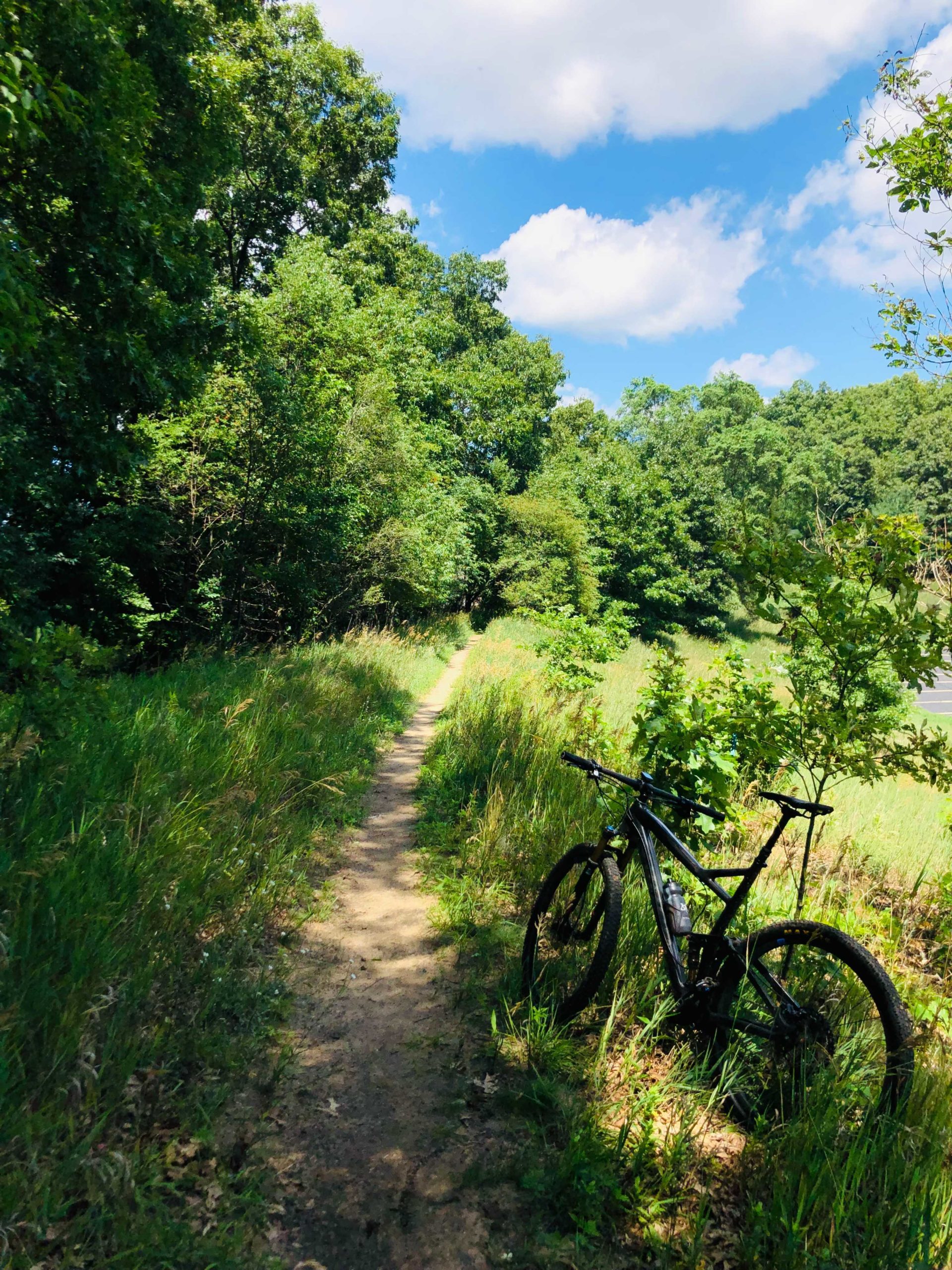 Beechwood Trail Day #2 | Michigan’s Edge Mountain Biking Association